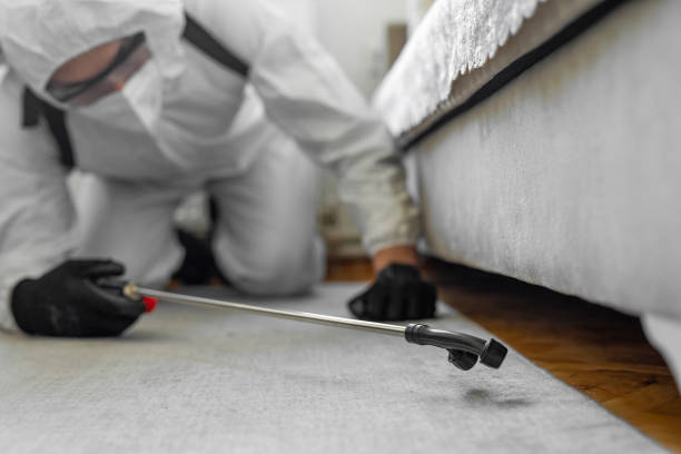 Professional Bed Bug Control technician working in Hamilton County County, FL